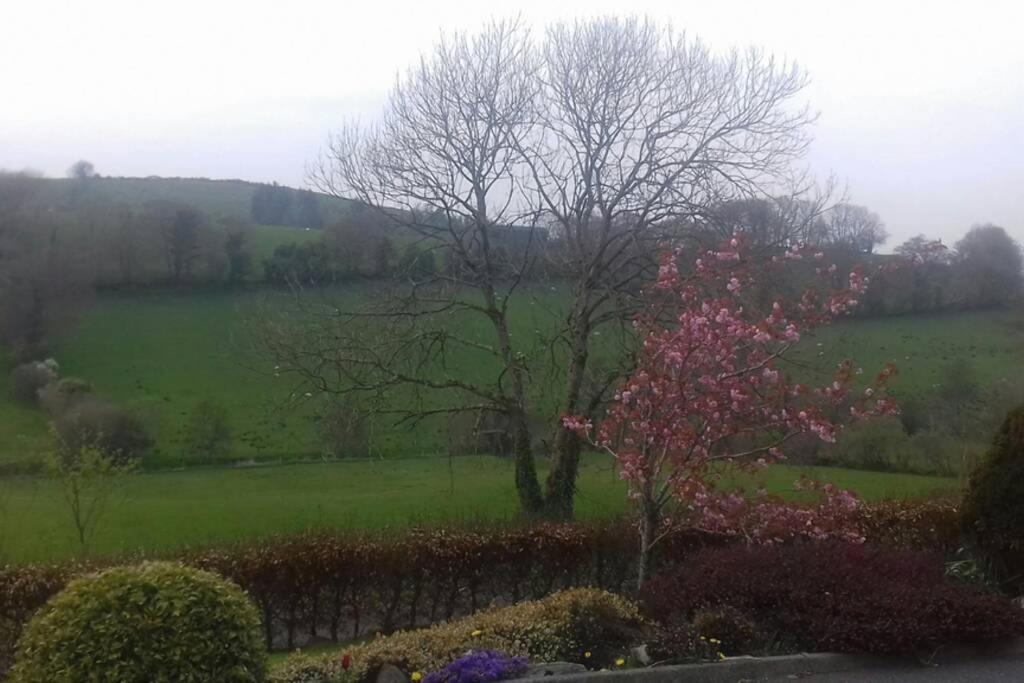 Drumgowan House Donegal Town Dış mekan fotoğraf